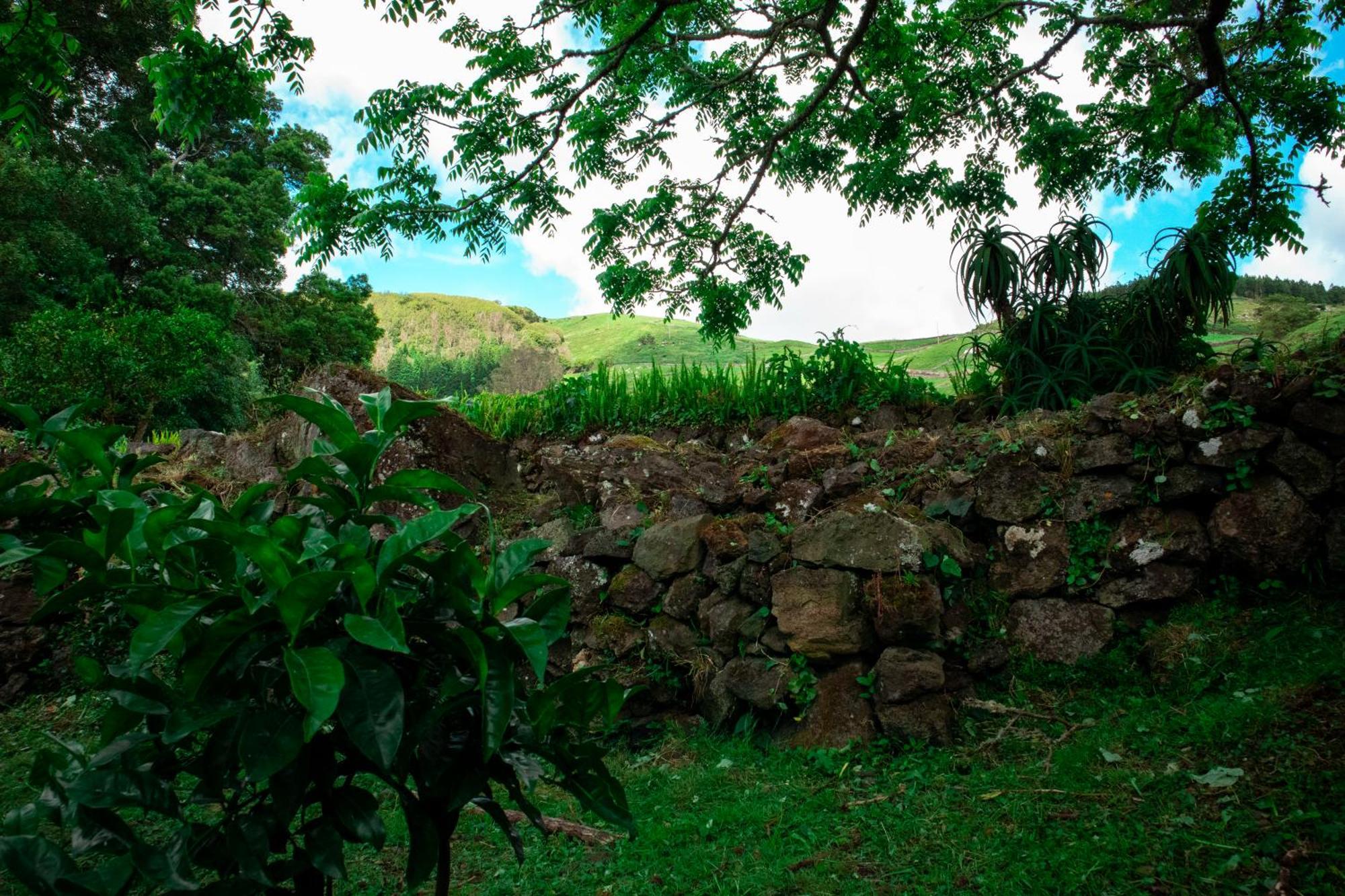 Angra do Heroísmo Casa De Campo Franco Da Serra מראה חיצוני תמונה